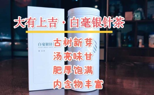 古树新芽，汤亮味甘，大有上吉白毫银针茶
