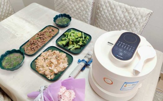 古法蒸煮工艺，打造健康饮食，德国蓝宝电饭煲优势在那？