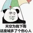 随峰数码