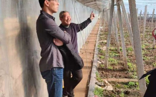 北股交大创板｜小雨农智：专注为农民搭建智慧化温室大棚，致力于让天下没有难种的田
