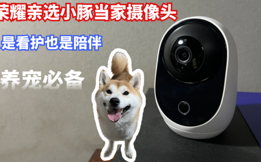 是看护也是陪伴，荣耀亲选小豚当家摄像头，养宠家庭必备