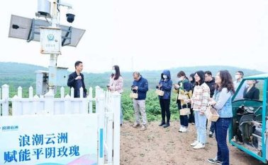 云洲赋能，数据驱动平阴玫瑰缔造百亿产业