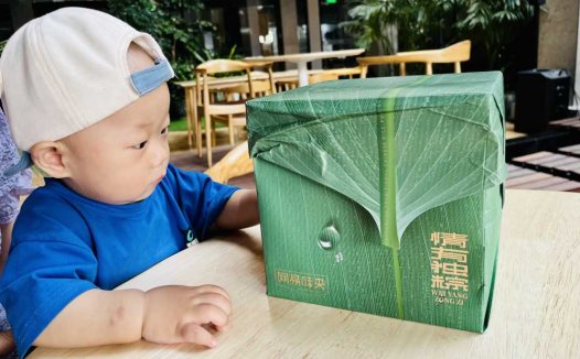 网易味央粽子，送礼有面子，用的是听音乐、蹲马桶、300天慢养的黑猪肉