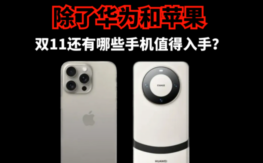 除了华为和苹果，双十一有哪些手机值得入手？