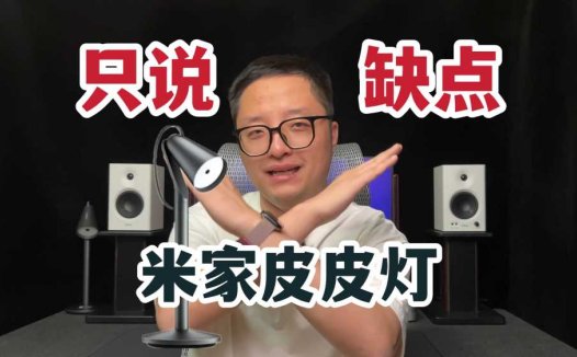 【只说缺点】没有参数表的米家皮皮灯！