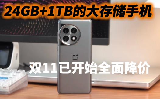 想让手机多用几年，尽量选择24GB+1TB规格，双11已开始全面降价