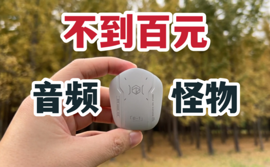 不到百元的音频怪物！弱水时砂甲虫体验！