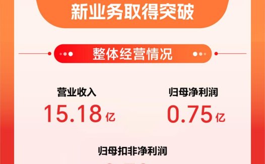 值得买科技披露2024年报：营收15.18亿元，全面AI布局蓄力待发